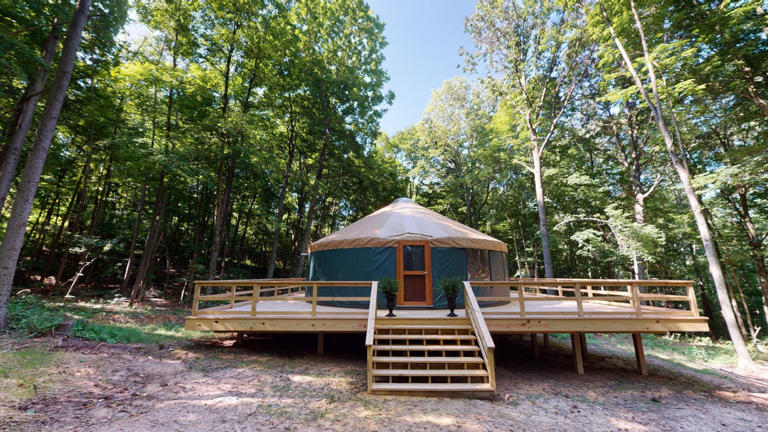 urban pine yurt