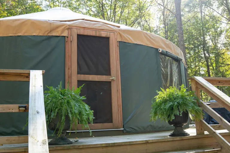 urban pine yurt