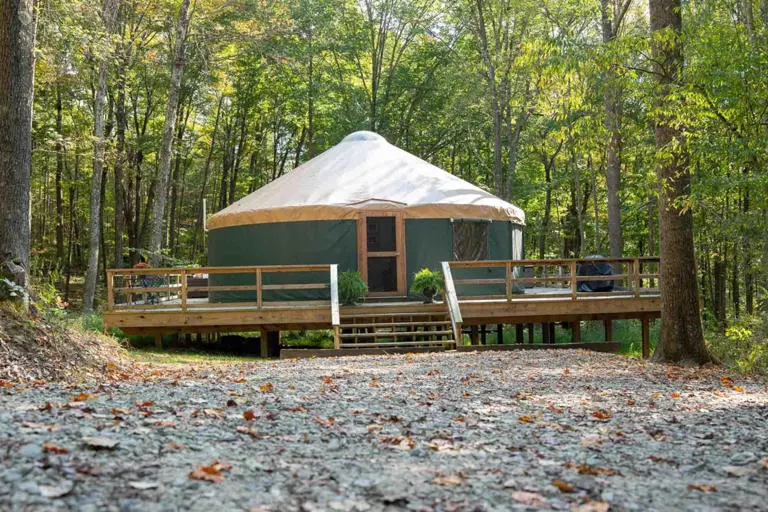urban pine yurt