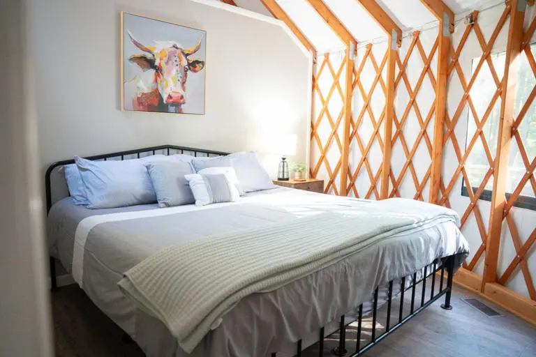 urban pine yurt